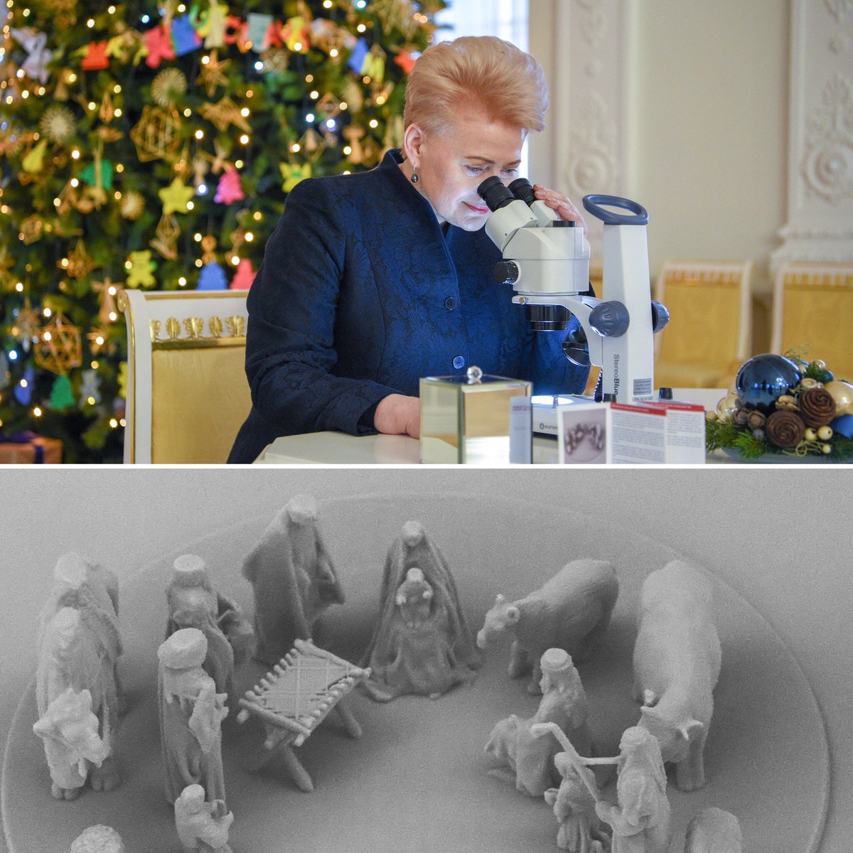 Grybauskaite_LT's tweet photo. The most important things - invisible to the naked eye. World's smallest nativity scene - #Lithuania 's gift to @Pontifex https://t.co/qTjtp9VYuF