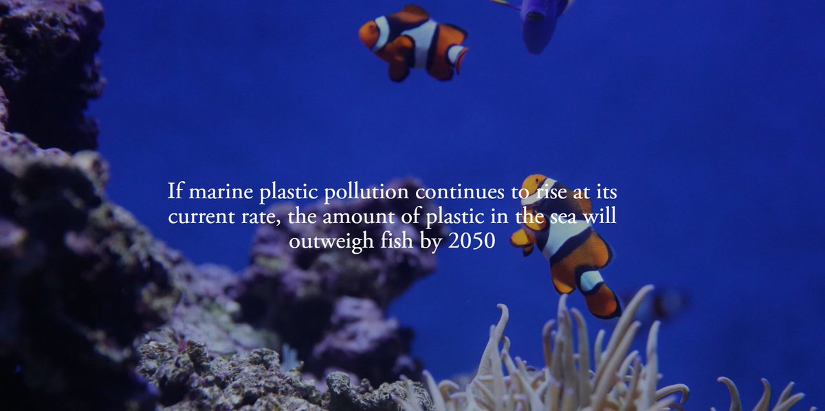 CommonsEAC's tweet image. Today we published our report 'Plastic Bottles: Turning Back the Plastic Tide.' Read our interactive report summary here: social.shorthand.com/CommonsEAC/3gi…
