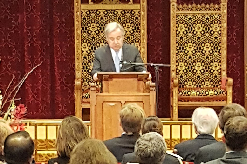 ONU Info tweet media