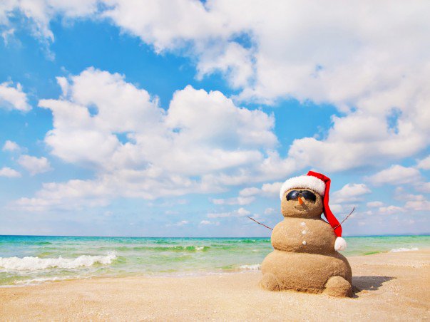 NetcomAustralia tweet picture