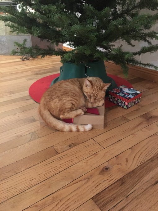 Merry Christmas from Juice https://t.co/GNJqQ0ET4O