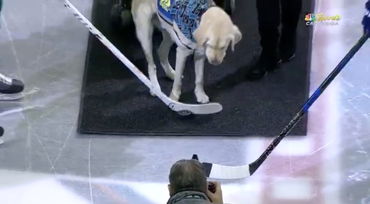 Bleacher Report tweet media