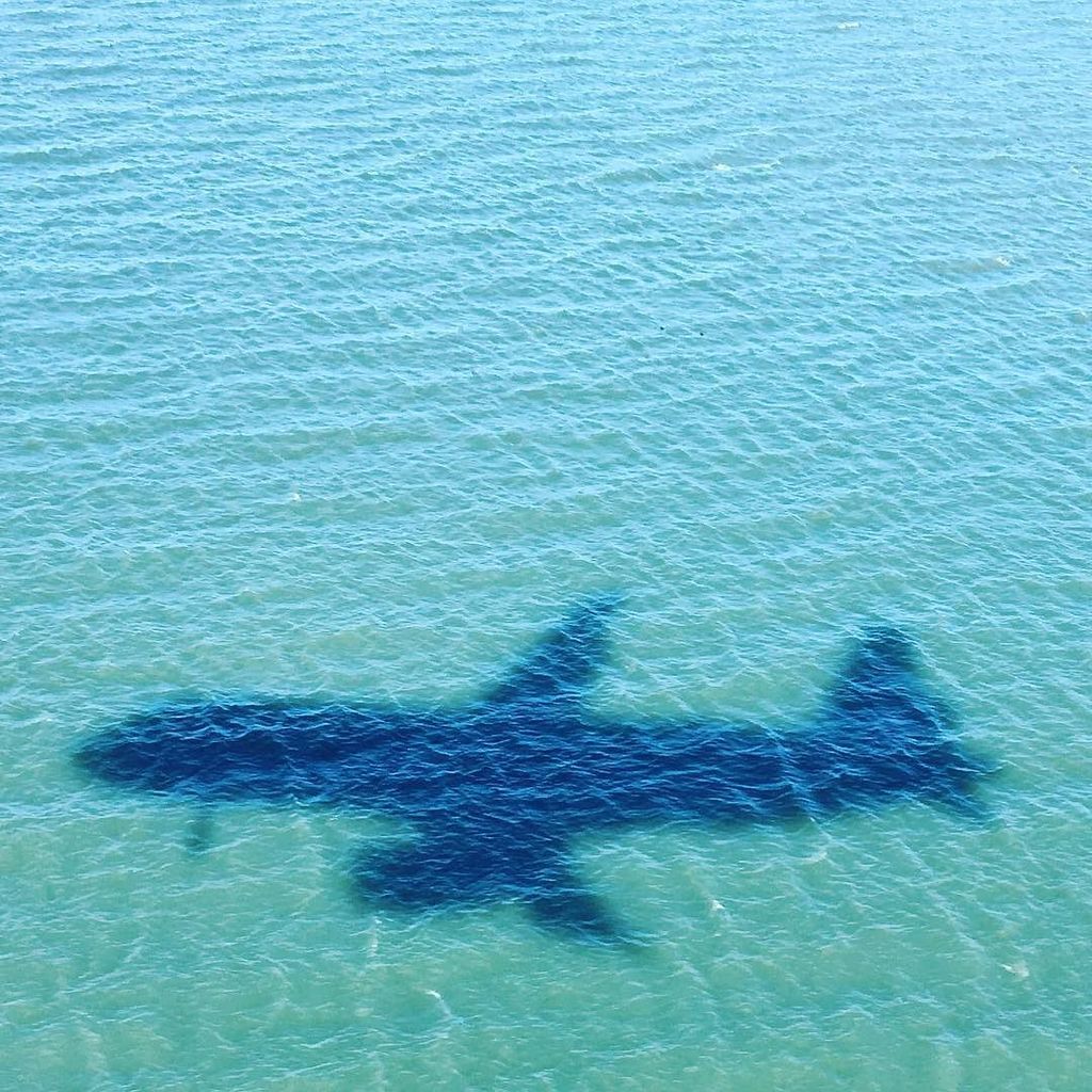 bug_check's tweet photo. #ksfo landing. Shadow on the bay. https://t.co/My8lUWuxk6