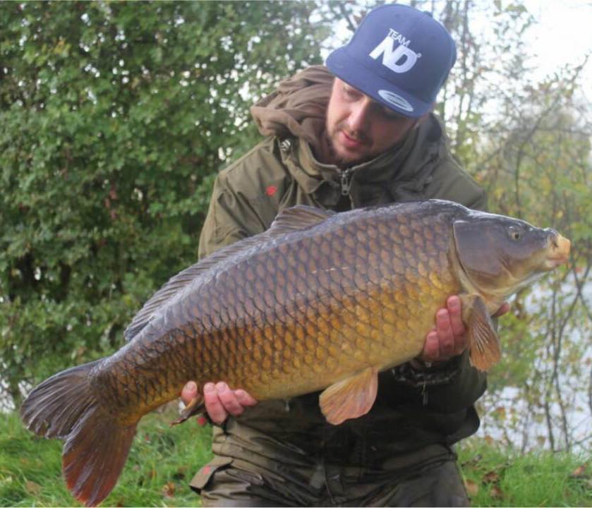 newdirection01's tweet photo. Keep sending us those captures we love to see those lovely carp that you have been holding up!

Who’s managed to catch this weekend?? https://t.co/pVM2efyElX