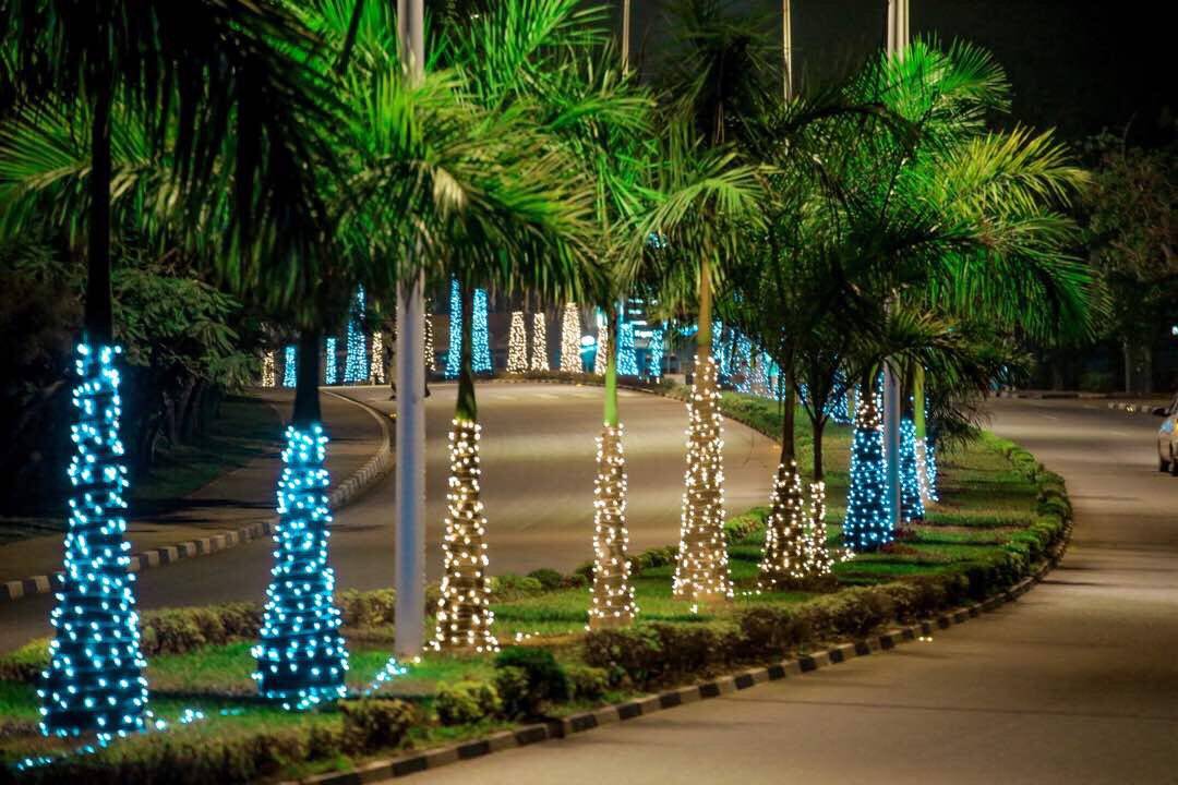 BISERUKA Thomas tweet media