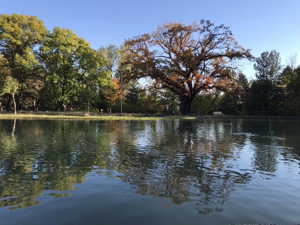 memli16's tweet photo. This is the beauty of peaceful.. https://t.co/UTARg6aEq2
