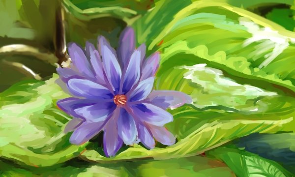 Ibu dancewithdream.wordpress.com/2017/12/22/ibu/