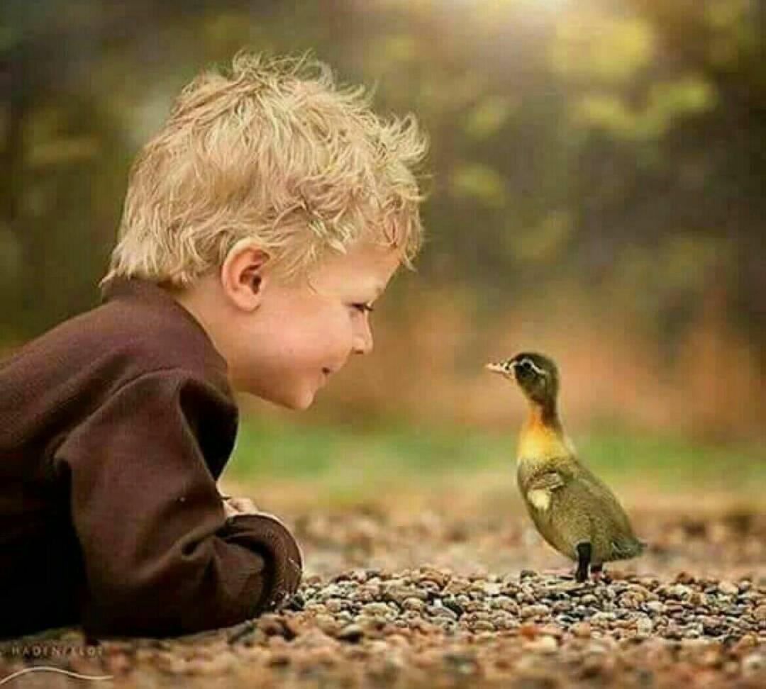 جمعة مباركة

#sanaa
#خواطر
#يوم_الجمعه
#الوافي_رند_للتبادل
#اعترف_اني