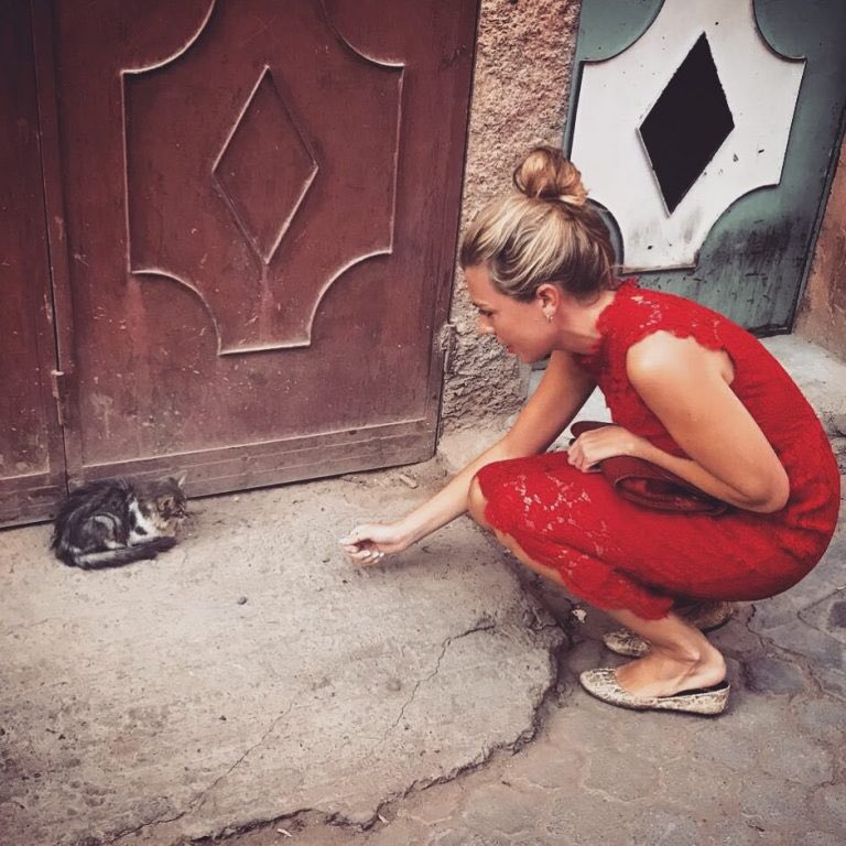 ConservativeAWF's tweet image. We are delighted to announce @carriesymonds as the new Patron of Conservative Animal Welfare Foundation and we look forward to working together to help advance animal welfare 

…nservativeanimalwelfarefoundation.org/1169-2/