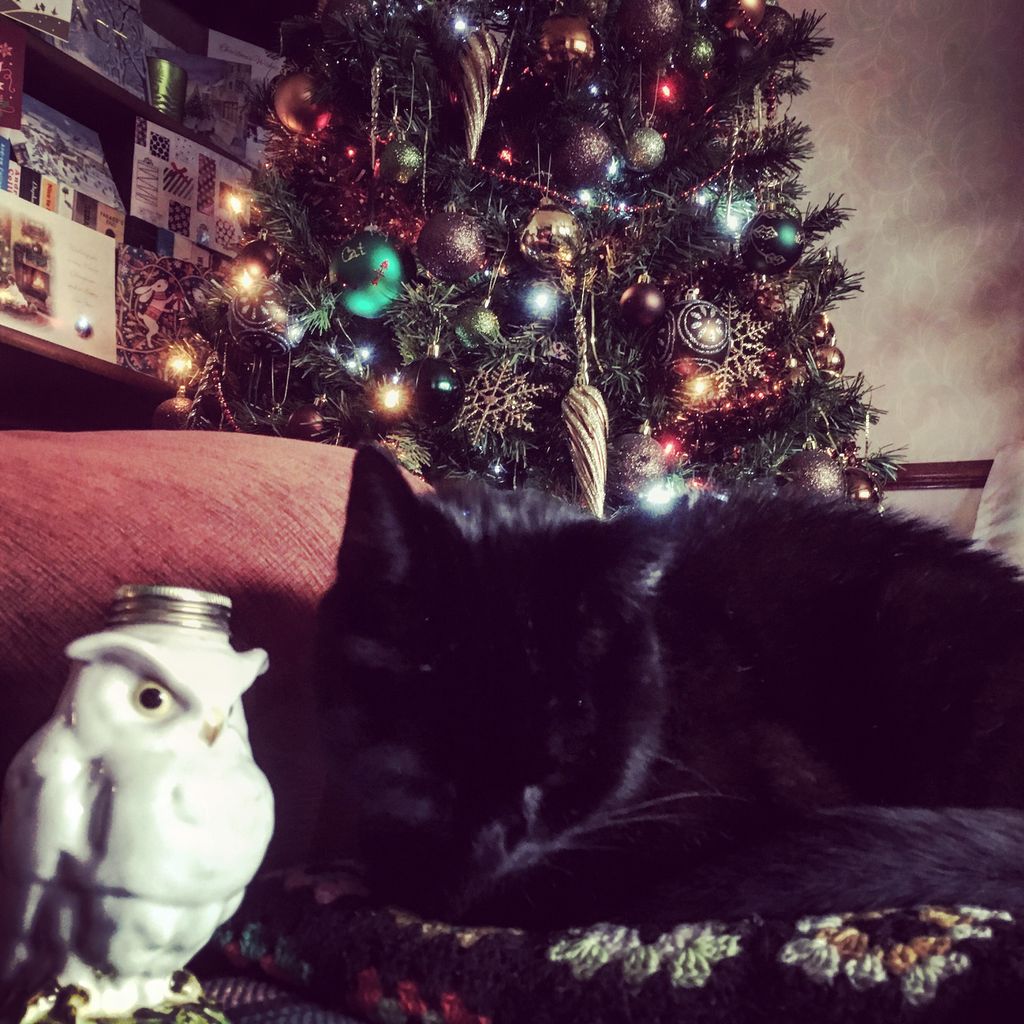 The Cauldron Magical Pub & Experience tweet media