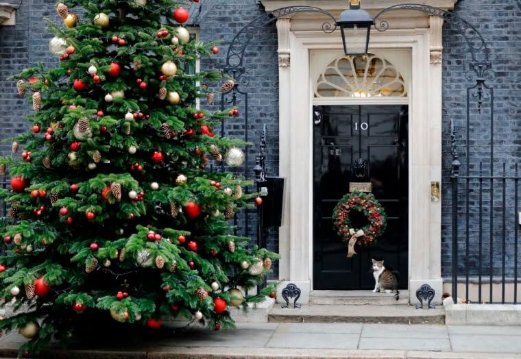 Number10cat's tweet photo. This wasn’t the picture on the official Downing Street Christmas card, but it should have been. Merry Christmas  to you all. Larry x
(Pic @TolgaAkmen) https://t.co/m1tAf97ZMi