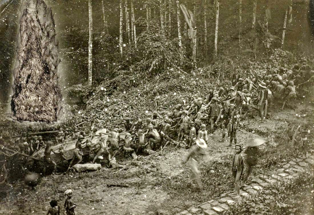PaulMMCooper's tweet photo. Some of the only known photographs of a human society moving megalithic stones, taken around 1915 in Nias, Indonesia. https://t.co/xcZaRwdbJp