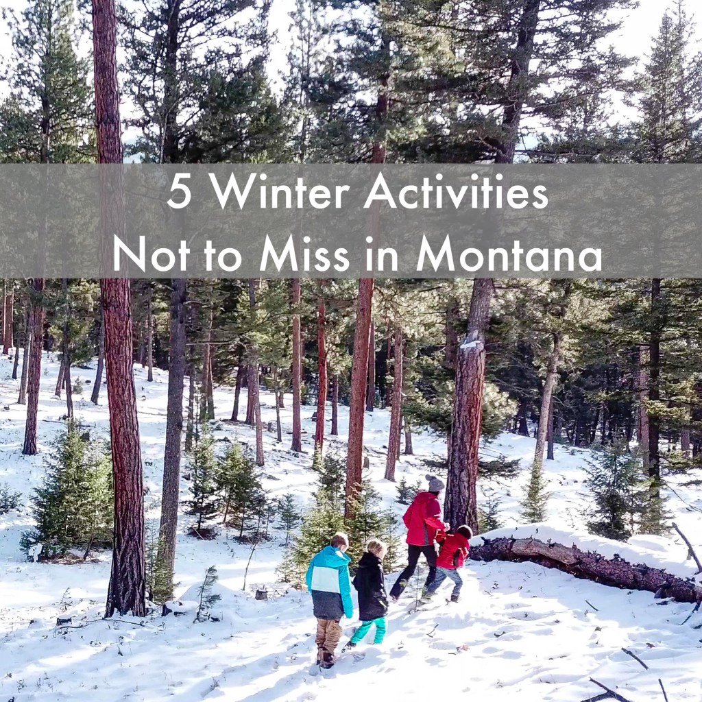 Bring_The_Kids's tweet photo. 5 Winter Activities Not To Miss in Montana https://t.co/rAVDHFDiyN https://t.co/lGI2q9GbIF