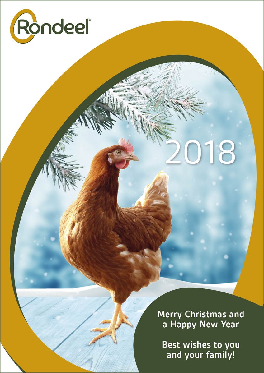 Rondeel Amsterdam (@mini_rondeel) on Twitter photo 