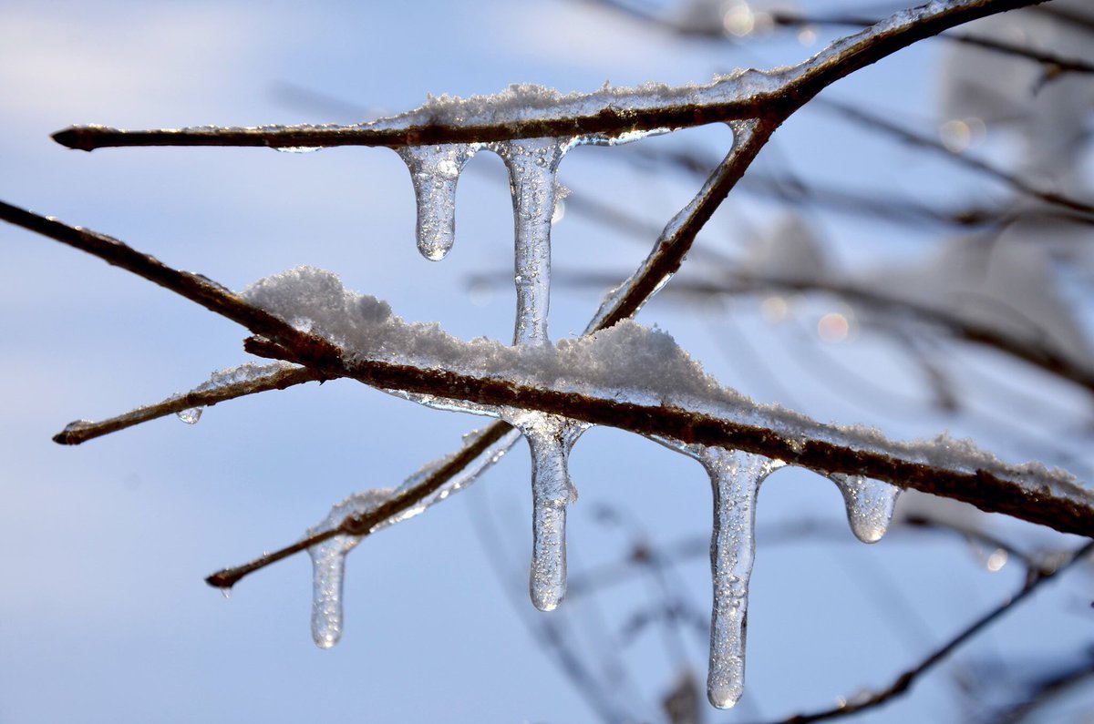 Impossible Dream TS tweet media