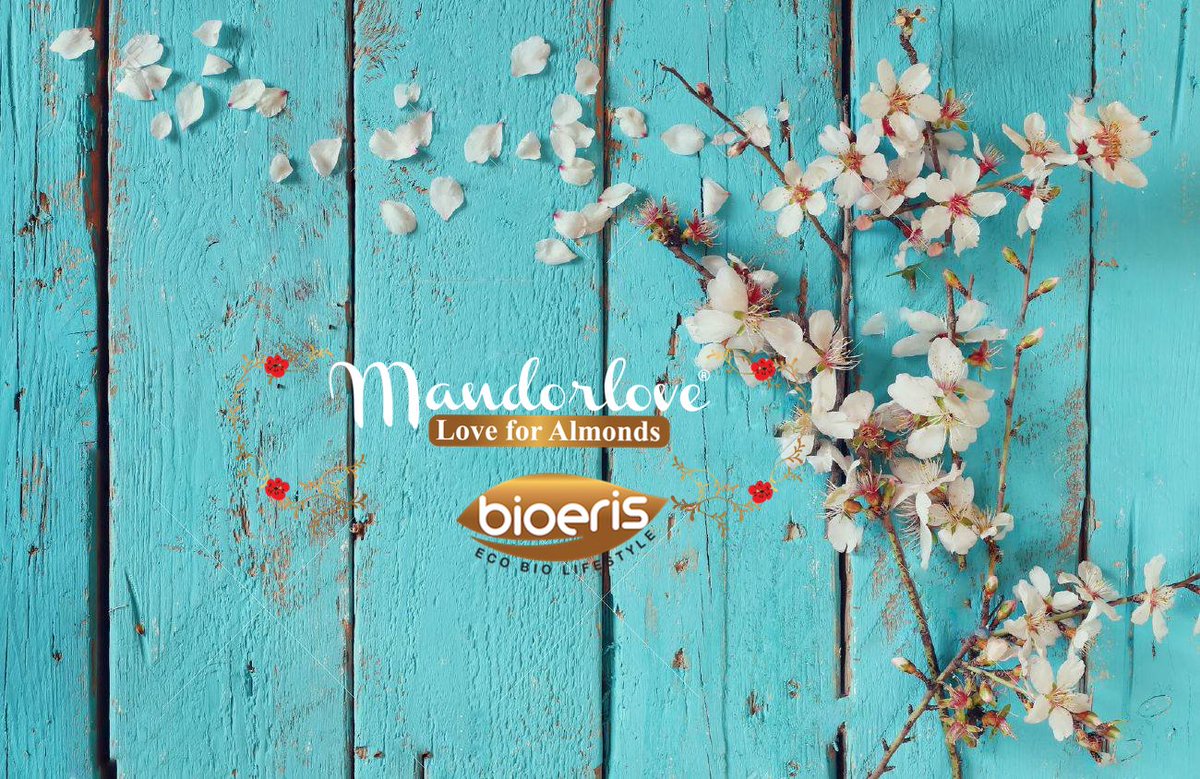 BioerisShopping's tweet photo. #comingsoon #mandorlove #madeinitaly #news #mandorle #almonds #loveforlamonds Ci stiamo preparando per voi ... https://t.co/6iVq7S6LLO