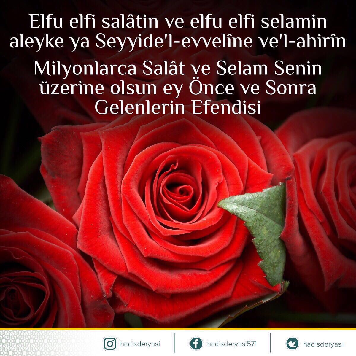 Elfu elfi salâtin ve elfu elfi selamin aleyke ya Seyyide'l-evvelîne ve'l-ahirîn🌹

Milyonlarca Salât ve Selam Senin üzerine olsun ey Önce ve Sonra Gelenlerin Efendisi

Hayırlı Cumalar...