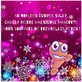 SullyGroup's tweet photo. Nous vous souhaitons à tous de bonnes fêtes de fin d'année ! #Noël #SullyWay
#Camély https://t.co/13JzNU29c1