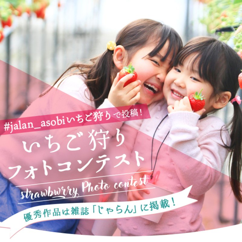 じゃらん遊び 体験予約 Jalan Activity Twitter