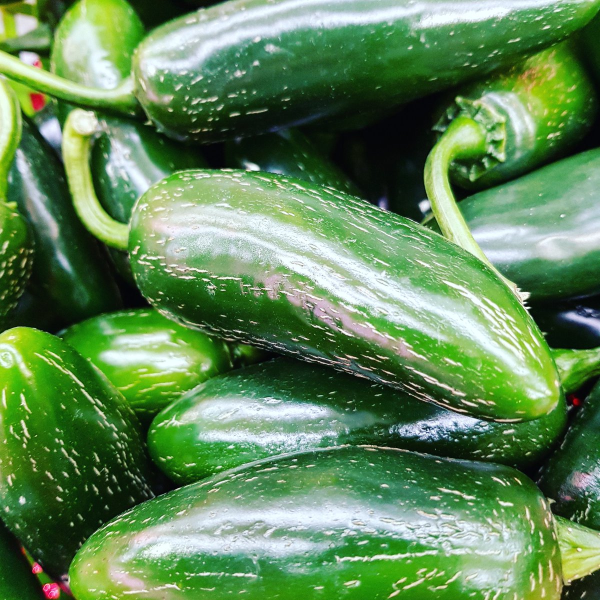 despensadefrida's tweet photo. ¡¡ Chiles Jalapeños frescos, grandes y picositos !! Sólo en @despensadefrida https://t.co/edKNJhEN3f