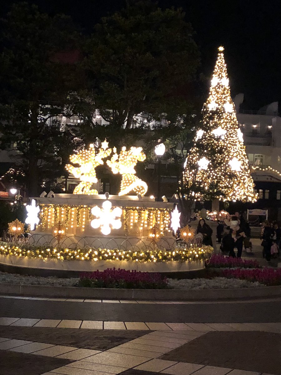 かふぇ Twitterissa ディズニーシーのクリスマスツリー 大人っぽくて素敵 Tds Tdl 東京ディズニーシー 東京ディズニーリゾート Tokyodisneysea Tokyodisneyresort Disney ディズニークリスマス 夢の国 夢の国の思い出 撮りためてた写真 17 12 1 T