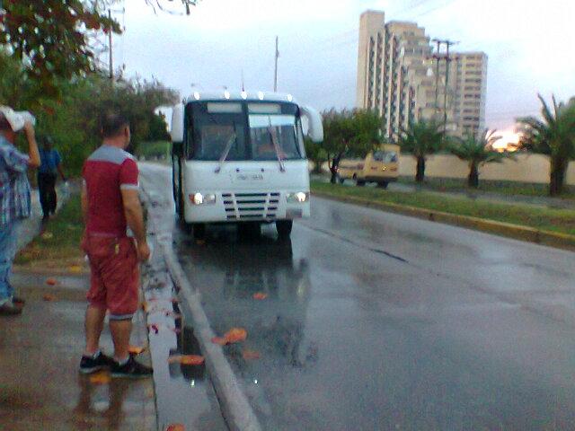 lulucerahotmai1's tweet photo. @CiudadDeCaos El conductor de este bus con ruta Bella Vista-Av.Bolivar es un desgraciado con las personas de la 3ra edad, se burla de ellas, no las recoge, cuando intentan abordar el bus arranca para no montarlas. Es un cdm. https://t.co/tffV9EK4rj