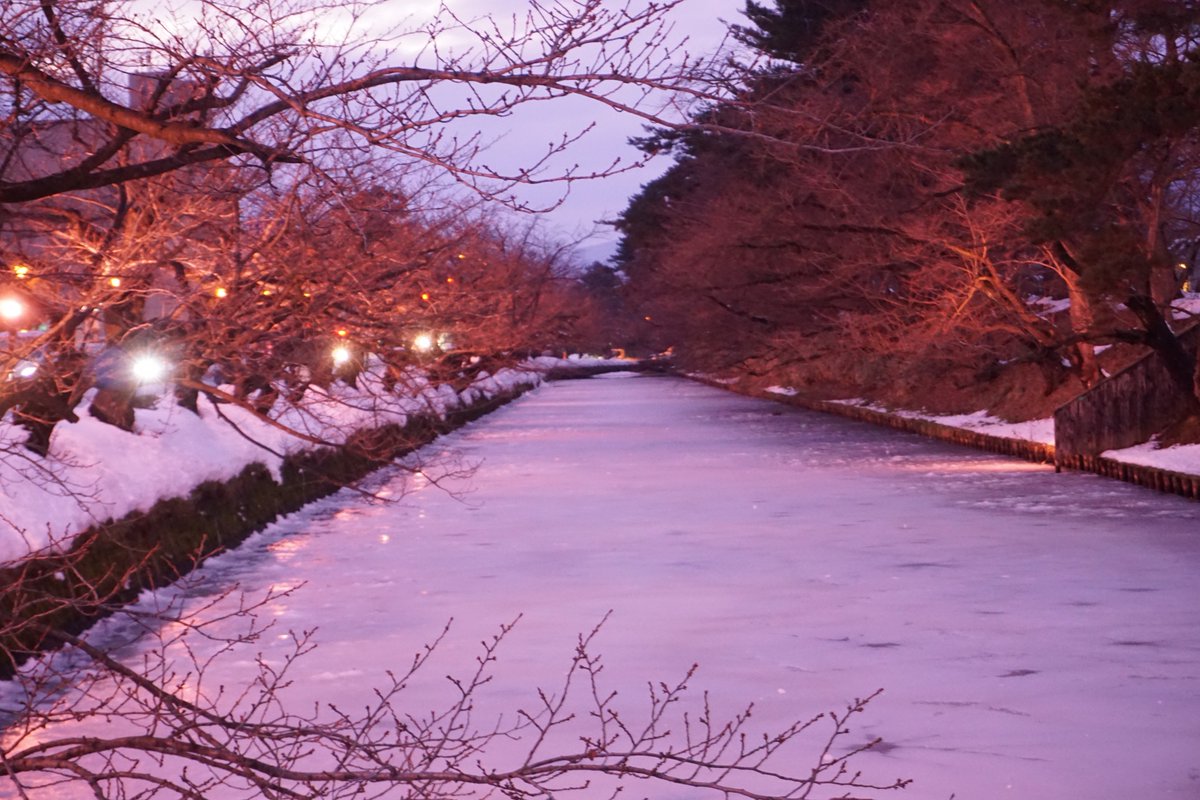 弘前公園 本日より 来年2月まで弘前公園追手門前で 冬に咲くさくらライトアップ が開始 点灯式も行われました 雪が枝に積もるぐらい雪が降った日にぜひお越しください 冬に咲くさくらライトアップ 弘前冬桜 T Co Uzrd1ueojm Twitter 弘前公園 本日より 来年2月まで弘前公園追手門前で 冬に咲くさくらライトアップ が開始 点灯式も行われました 雪が枝に積もるぐらい雪が降った日にぜひお越しください 冬に咲くさくらライトアップ 弘前冬桜 T Co Uzrd1ueojm Twitter