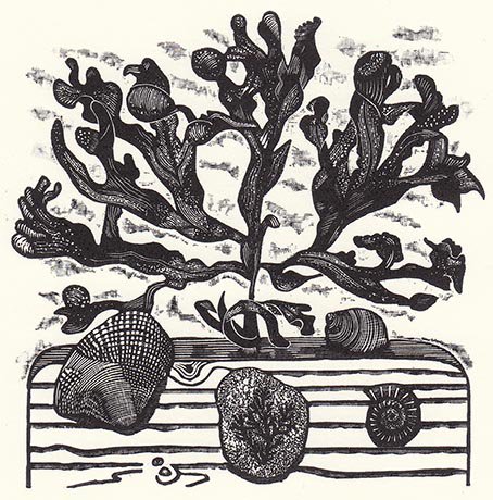 The count down to Christmas is very much coming to an end. Don't forget we are open briefly tomorrow (Saturday 23 Dec) - 10 am - 12.30pm, for any last minute purchases.