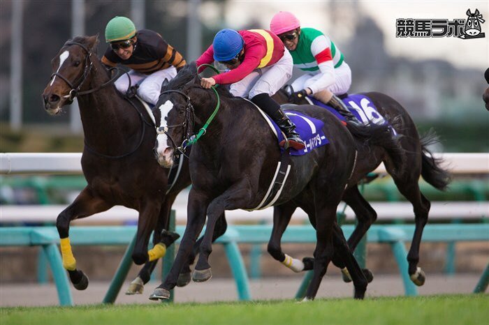 keibalab's tweet photo. #ゴールドアクター　#GoldActor　#吉田隼人
#競馬　#keiba　#有馬記念���#Arimakinen　#2015年
https://t.co/xUK7RA4ZUU https://t.co/tgwvAoKgbi