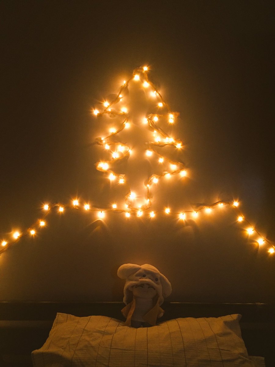 truman_pink1's tweet photo. cinnamonshua is ready for christmas >_< 🎄💕 https://t.co/cwngL8102F