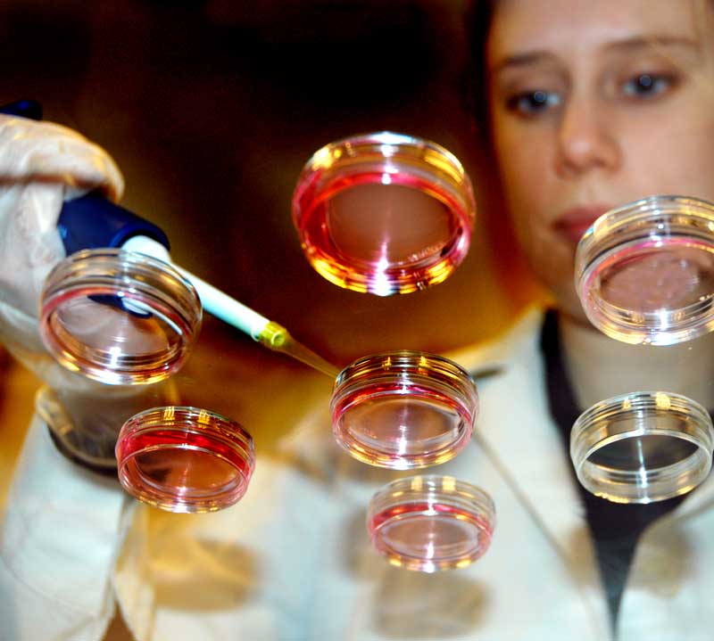 obu_bms's tweet photo. Application deadline is fast approaching for our #PhD #Studentships! Check out the #research opportunities available here: https://t.co/zg04T9OzhY https://t.co/TvhjbTvwUR