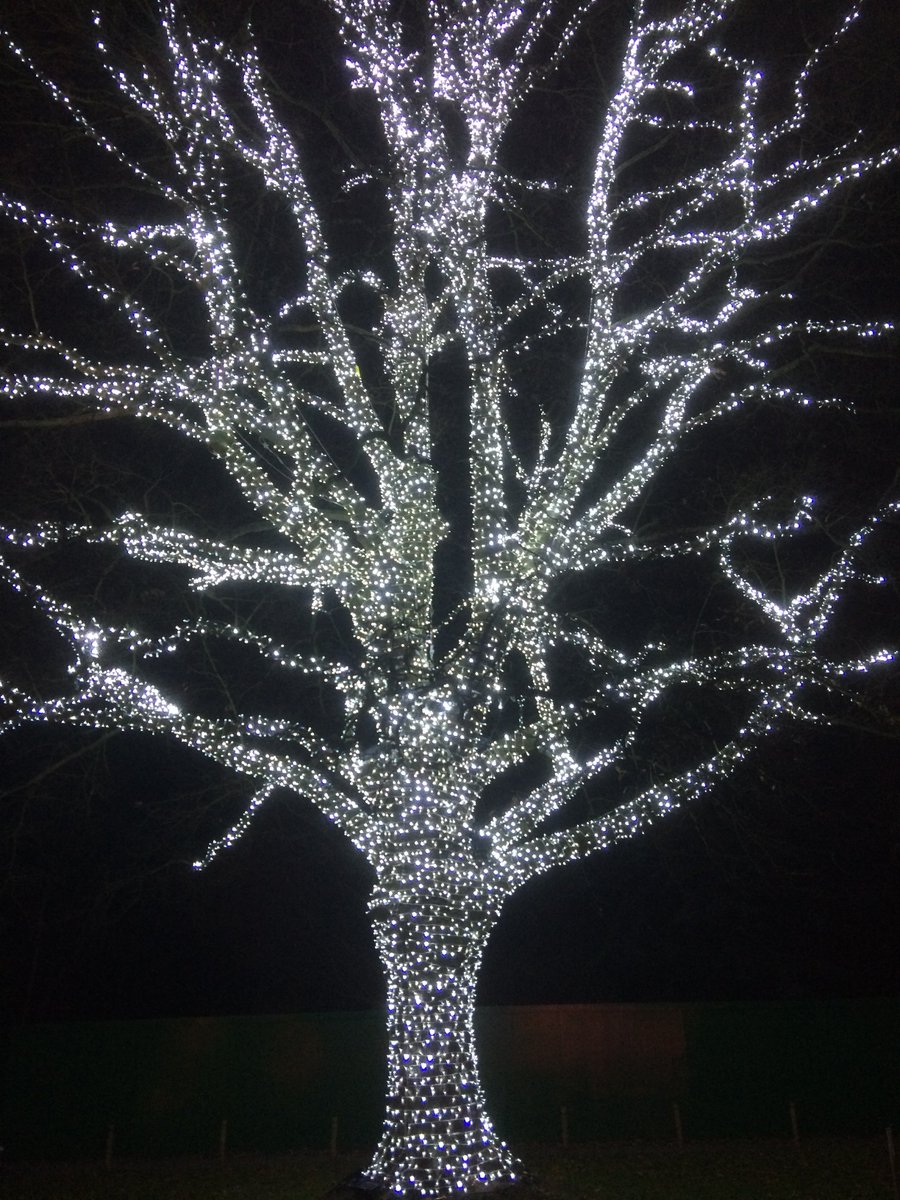 EngChristmas's tweet photo. Time off over #Christmas? Check out our round up of the best UK #Christmasexperiences. Make time for #christmasmagic, #winterwonderlands and sparkling #christmaslightshows - go to: https://t.co/tRGsdwtRMd https://t.co/DqDk7TWFkw