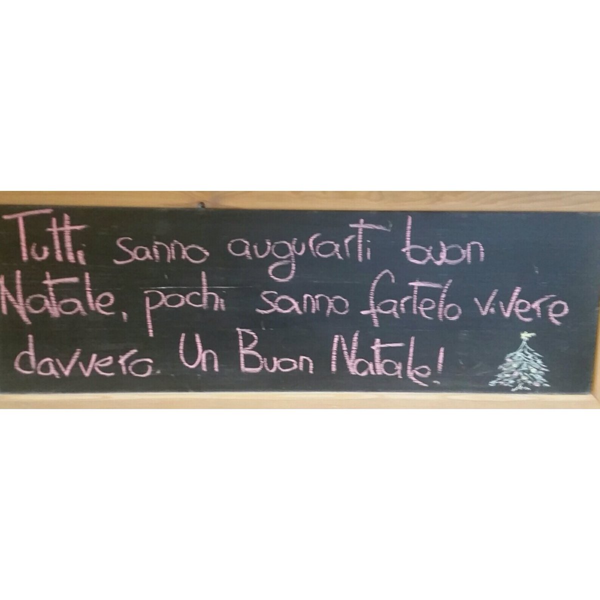 romagnaeco's tweet image. 