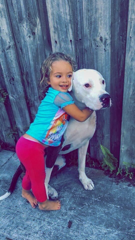 THEJFRD's tweet photo. A frantic mother, Kendall Smith, posted pleas to find her lost dog yesterday on FB....dreading having to tell her baby girl her dog was gone...happy ending, the dog was found and fed and cared for by our very own Station 13 in San Marco!  Great job guys!  #relievedfamily #thanks https://t.co/TisoiCAgjh