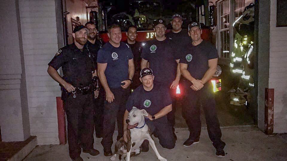 THEJFRD's tweet photo. A frantic mother, Kendall Smith, posted pleas to find her lost dog yesterday on FB....dreading having to tell her baby girl her dog was gone...happy ending, the dog was found and fed and cared for by our very own Station 13 in San Marco!  Great job guys!  #relievedfamily #thanks https://t.co/TisoiCAgjh