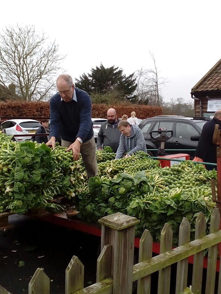 Media Tweets by Riverbank Nursery (RivBankNursery) Twitter