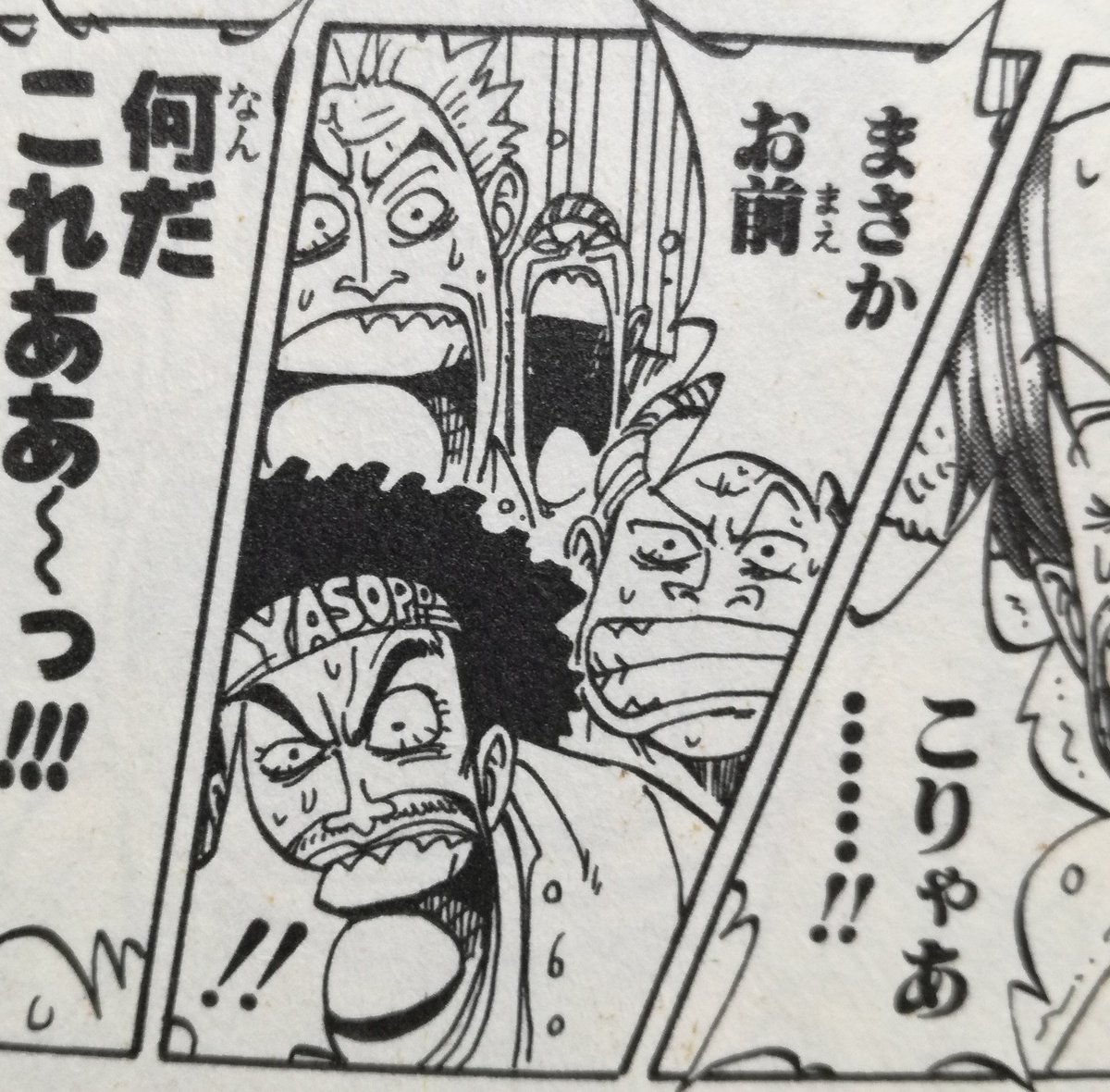 One Pieceが大好きな神木 スーパーカミキカンデ ヤソップが頭につけてるやつは Yaso と Yasopp の2パターン