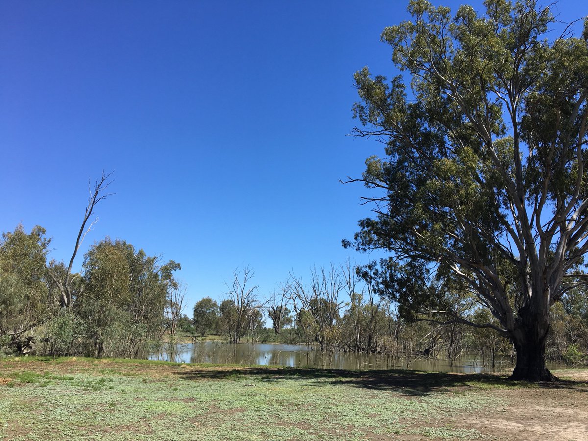 SuzanneJSchultz's tweet photo. Stumbled across this beautiful spot #ThisIsAustralia https://t.co/t9hdv7BJmq
