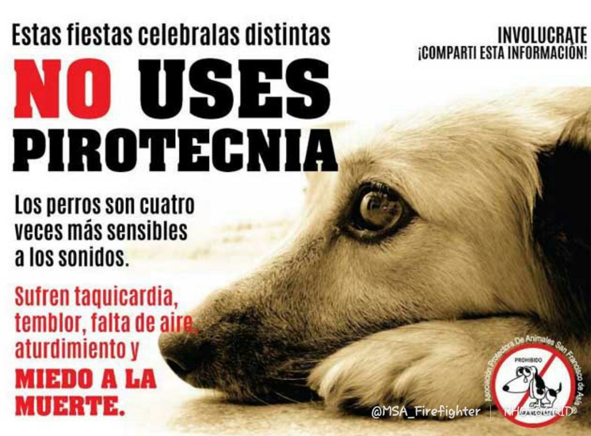 🚫✋💥 #NoUsesPirotecnia 🐶 #PorTuSeguridad #PrevenirEsVivir #PorTusSeresQueridos #PhotoGrid Ellos también sufren celebremos estas festividades de una manera distinta #MSASafetyConsulting