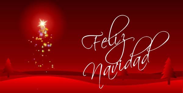 Terminamos este año con ilusión renovada y con el sentimiento de seguir adelante por y para la #Fisioterapia que queremos. ✨Feliz Navidad!! ✨