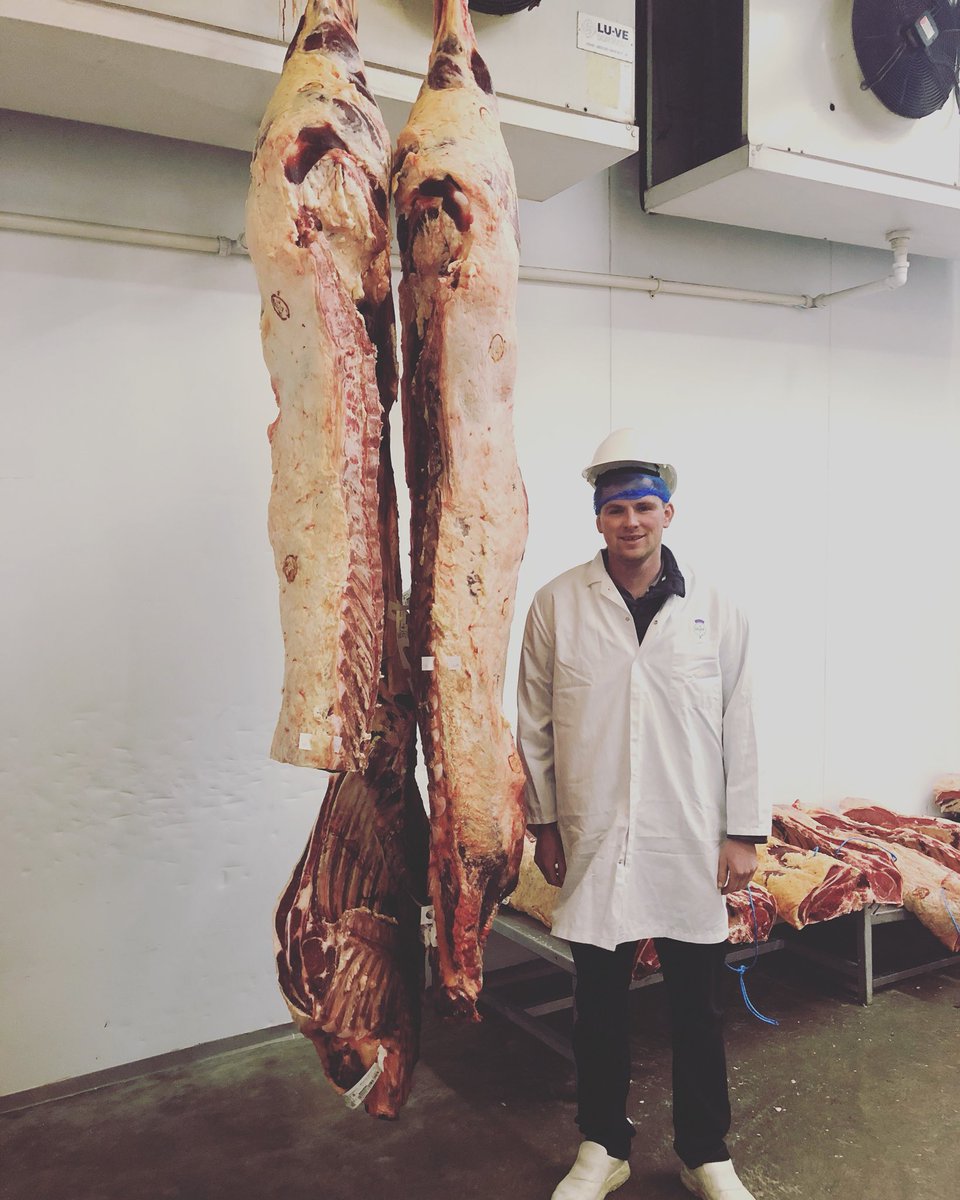 Alfie Taylor of Heatheryhall #farm in today beside a #native #beltedgalloway of his that is off to  @temperldn #soho in the new year! Wishing a Merry Christmas to <a href="/ChefonWood/">George Wood</a> @frontlinechef @thehandsthatfeedlondon @travellinggaucho @samlee_temper and a happy NY when it comes!