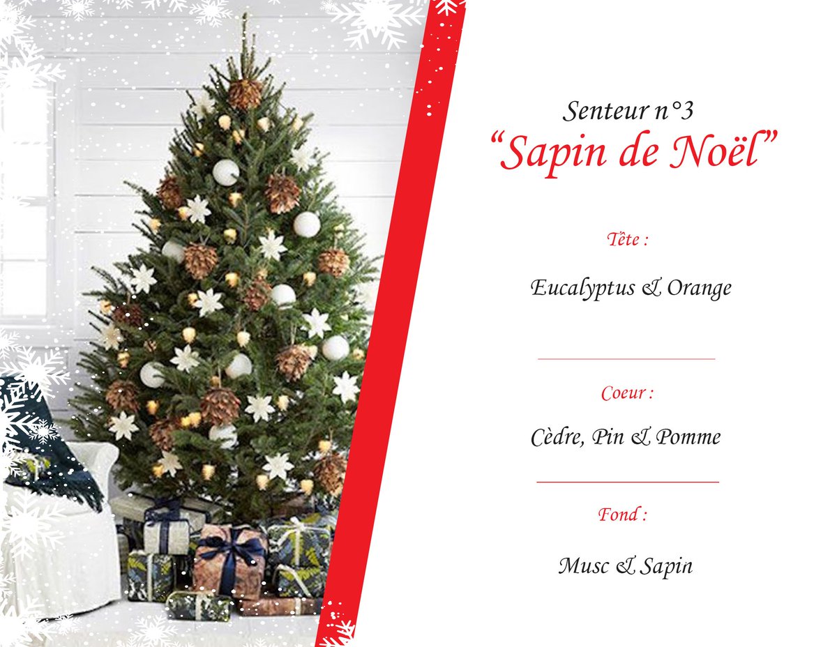 J-3 avant Noël ! La senteur phare du calendrier de l'Avent "Sapin de Noël". Le roi des forêts diffuse la fragrance fraîche et naturelle qu'on aime tant...🎄