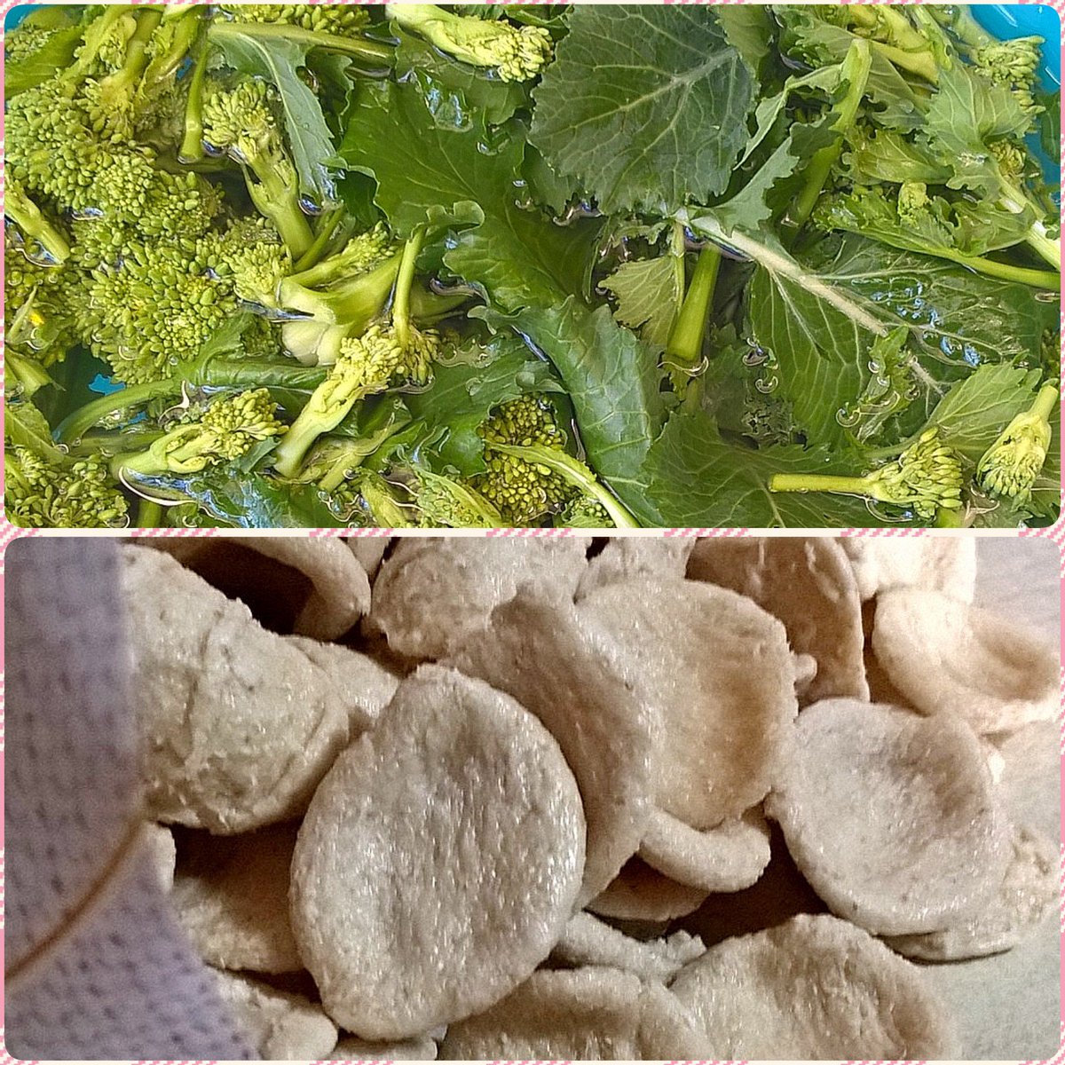 Cucinapugliese's tweet photo. 💐 CIME DI RAPA &amp; ORECCHIETTE 💐
#puglia #salento #food #pasta #cucina #cucinapugliese #ricette #foodblog #foodblogger #sud #cucinare https://t.co/X5b5zRW3Xh