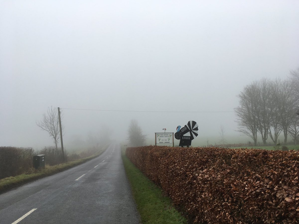 celiahart's tweet photo. Stress-free Christmas dinner shopping sorted 👍🏼
#shoplocal #queuefree #suffolk #cambs foggy border country. https://t.co/7kGADFXD9L