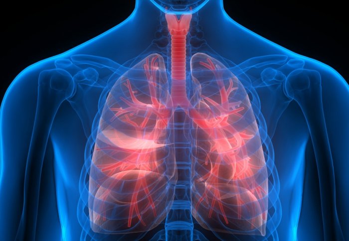 . <a href="/imperialcollege/">Imperial College London</a> partners with AstraZeneca to investigate drivers of #respiratory disease ow.ly/9rTL30hoowu - with Profs Belvisi &amp; Tetley and Dr Birrell.