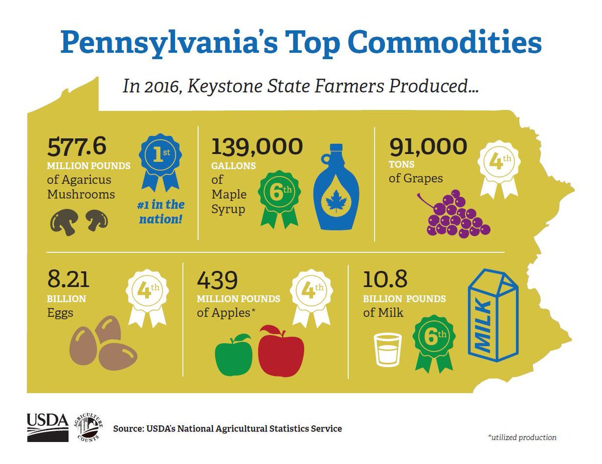 Pa Department Of Agriculture Pa Twitter Pennsylvania First In The Nation For Mushroom Production With Over 577 Million Pounds Produced In 2016 Pa Also Ranks 4th In The Production Of Maple