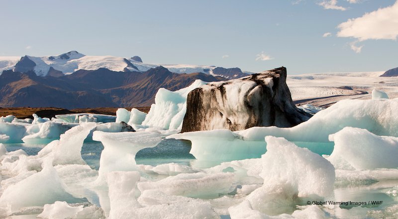 WWF's tweet photo. #ClimateChange is one of the most urgent threats to our 🌍 today, & it’s going to take everyone to help change climate change. https://t.co/zGKeaJo5Lc
#WWF2017Recap https://t.co/d9tfCDWBkr