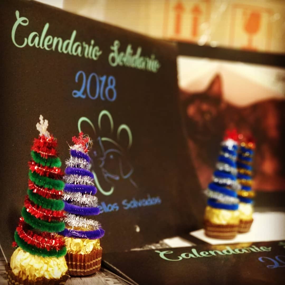 huellassalvadas's tweet photo. Blacky con uno de los pasadores que su mami le ha regalado!! Recordaros que están a 1€ y los broches arbolitos también!! Rápido que llega navidad!! Felices fiestas!! 😊 😘 https://t.co/F5xRb3nBfA
