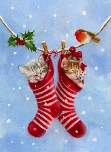 Good evening everyone..,