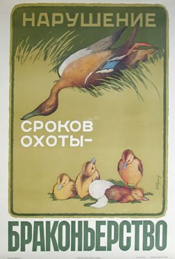 Картинки, картинки браконьерству бой